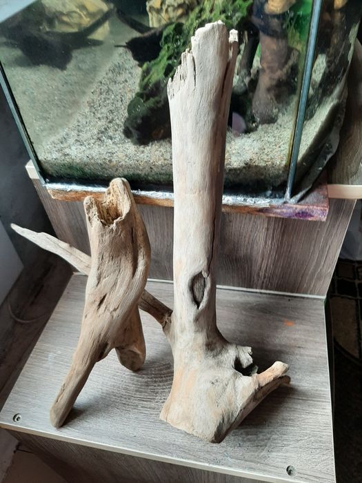 Продам коряги в аквариум.