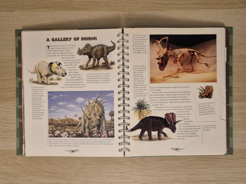 Książka o Dinozaurach / Book about Dinosaurs