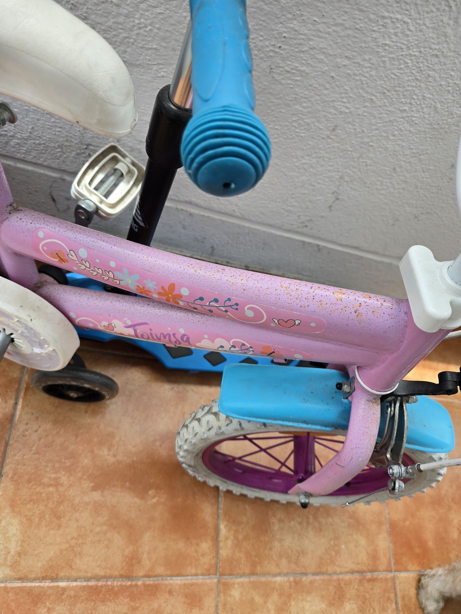 Bicicleta crianca