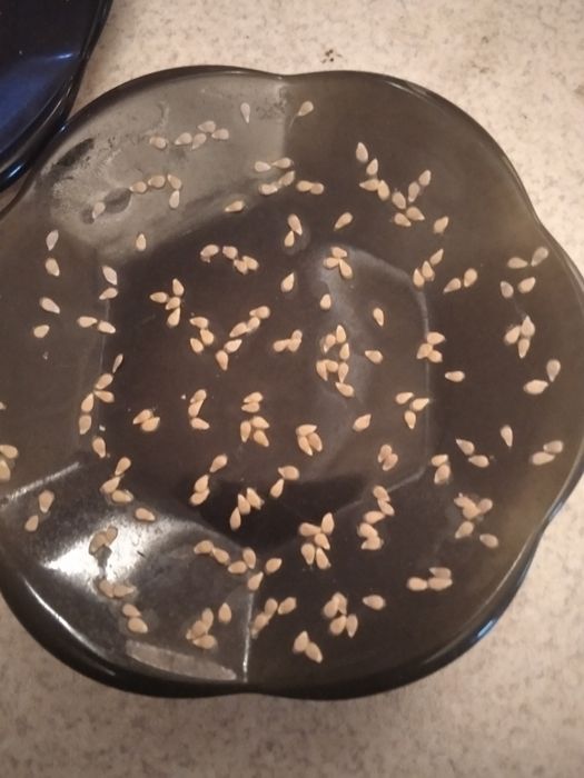 Семена комнатных помидор"Жемчужинка розовая"