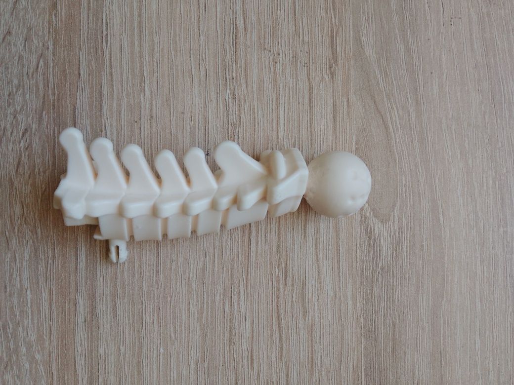Kręgi szyjne kostek szkielet ciało człowieka National Geographic
