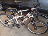 Bicicletas roda 24