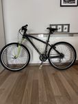 Rower GIANT 26”