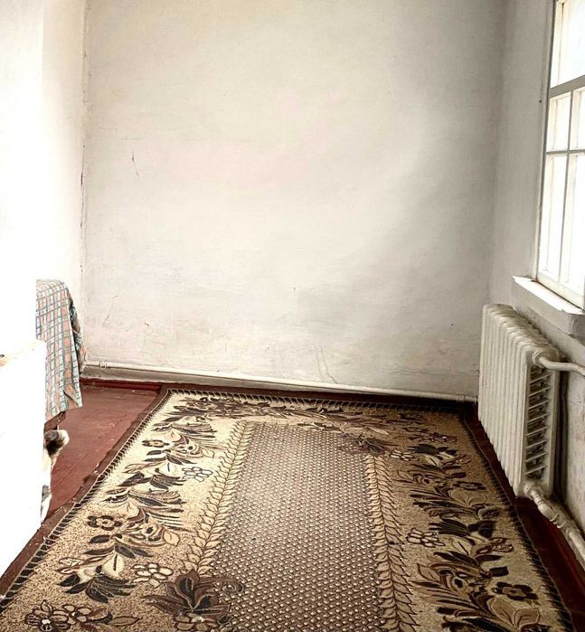 Бучанський район, село Пашківка, вул. Центральна, 110м2, 30 соток