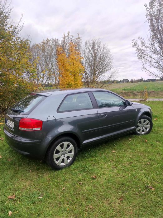 Audi a3 8p 1.6 MPI Benzyna 2003rok !