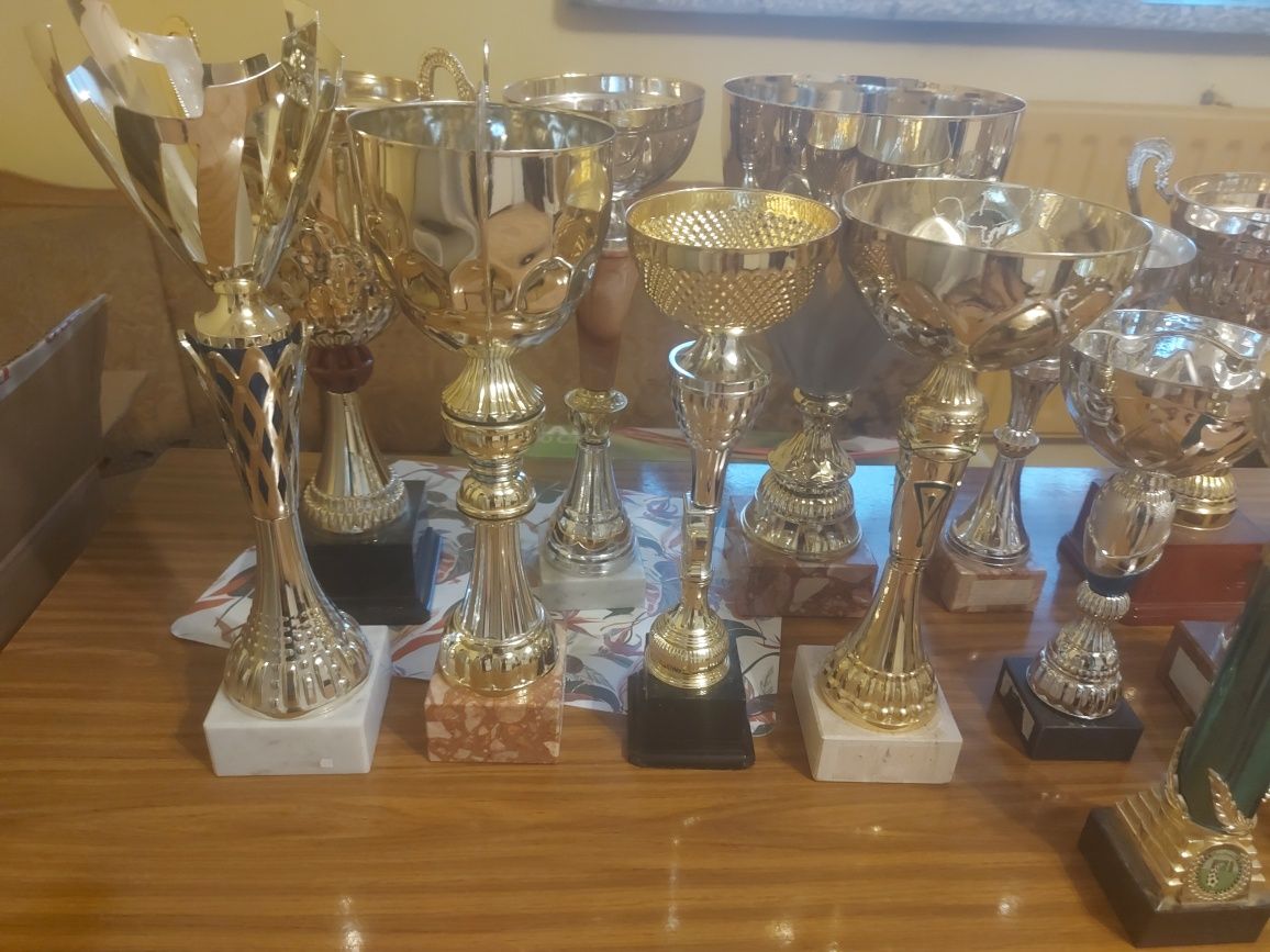 Puchary i statuetki dobra cena:)