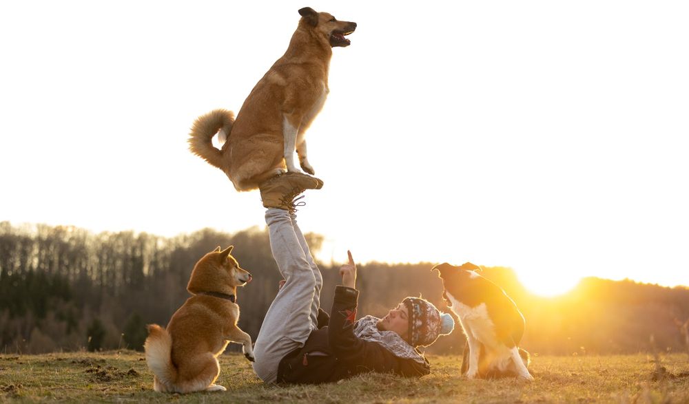 Jazda konna, wyjazdy w teren, mini agro kozy owce