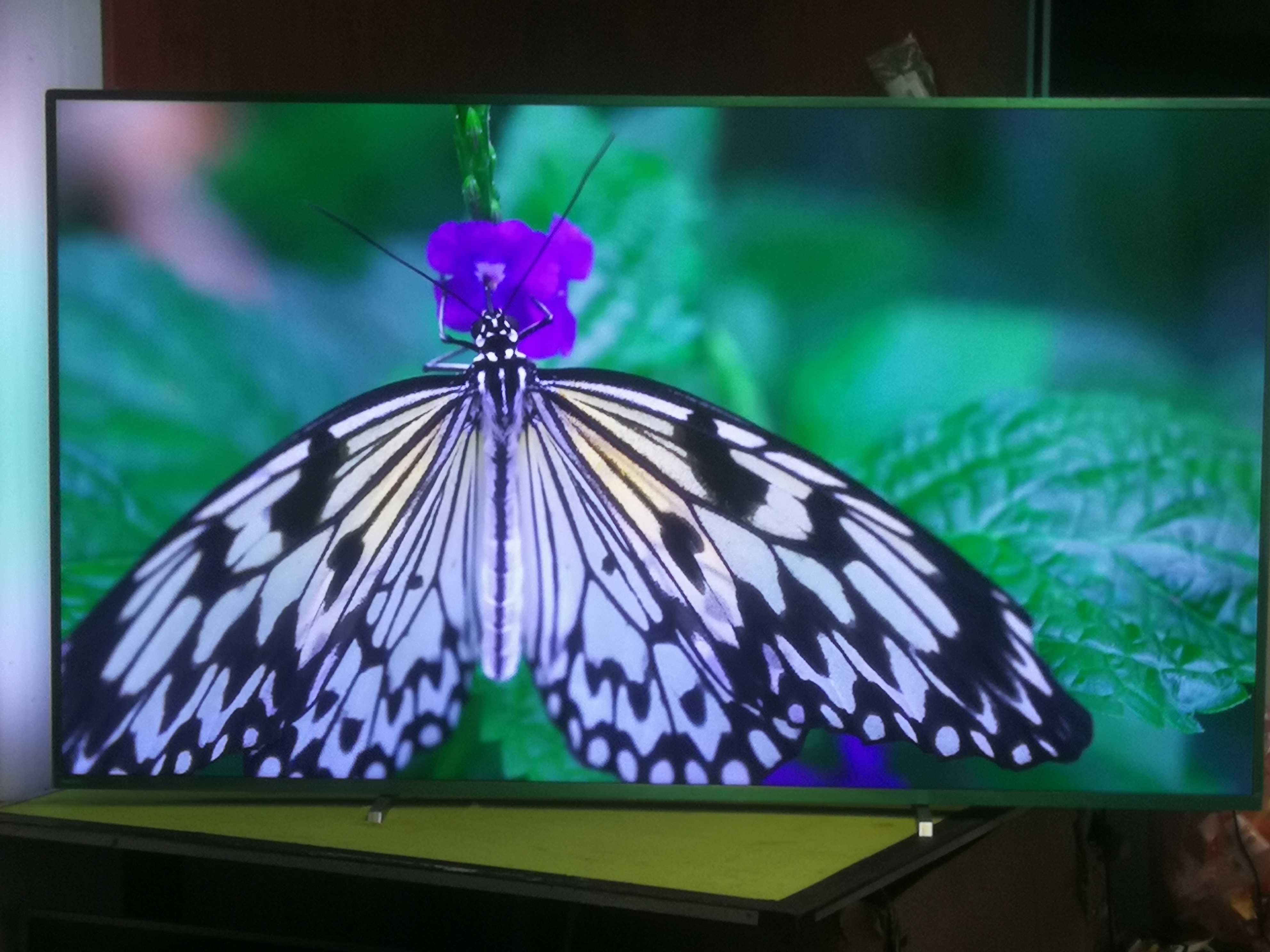 Telewizor Philips 70 cali 4K UHD, Smart wifi, Super Stan