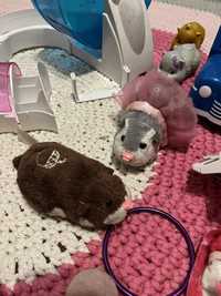 Chomiczki zhu zhu pets