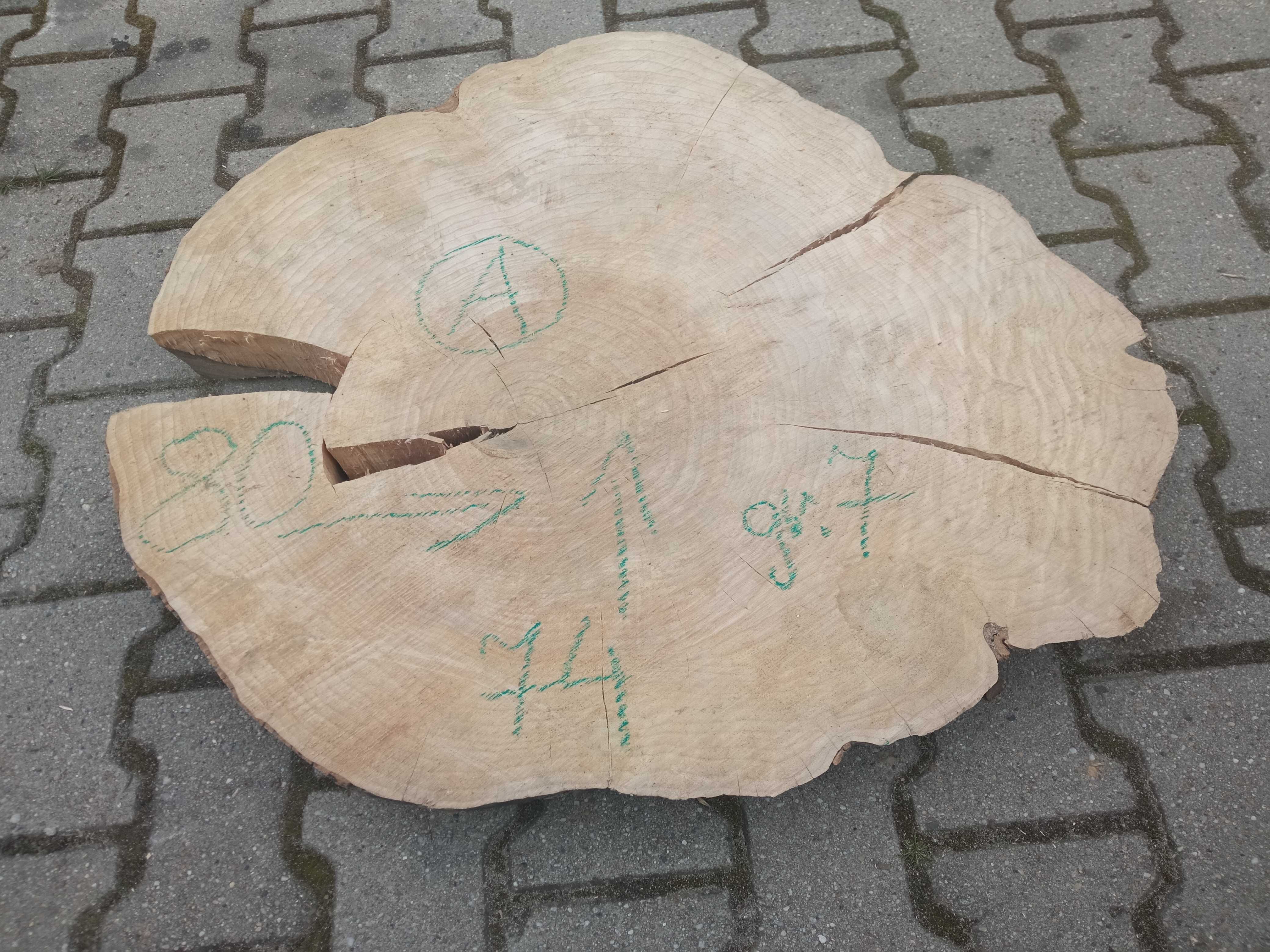 PLASTER drewna BARDZO DUŻY DĄB Jesion Pow. 80cm!