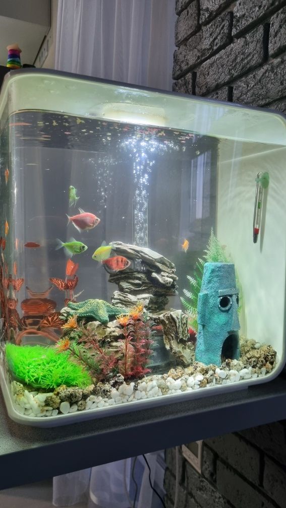 Продам акваріум biorb 35л