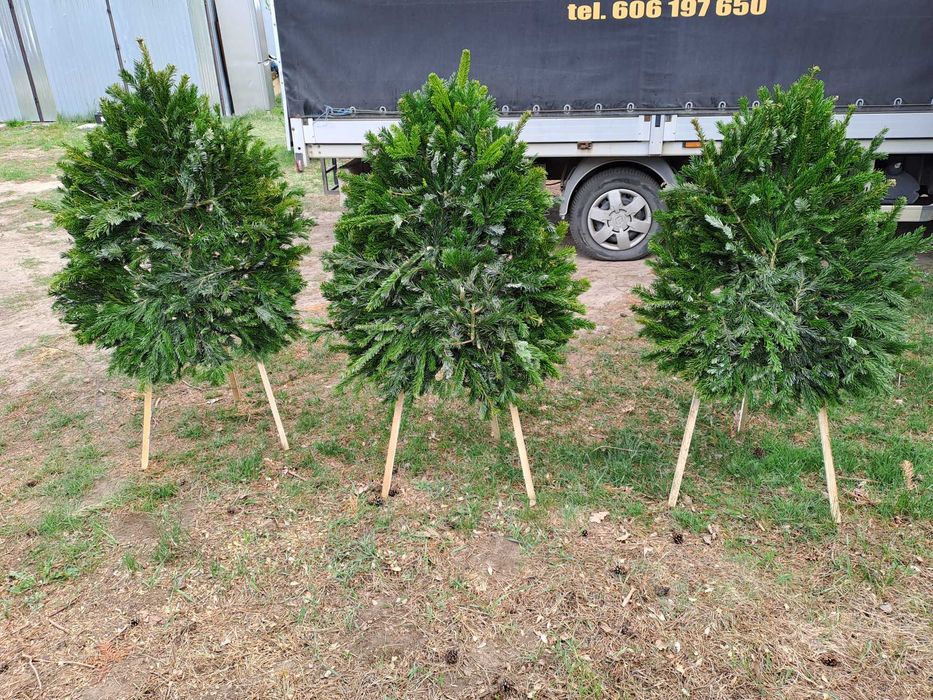 Stelaż Sztaluga podkłady  pod wieńce pogrzebowe