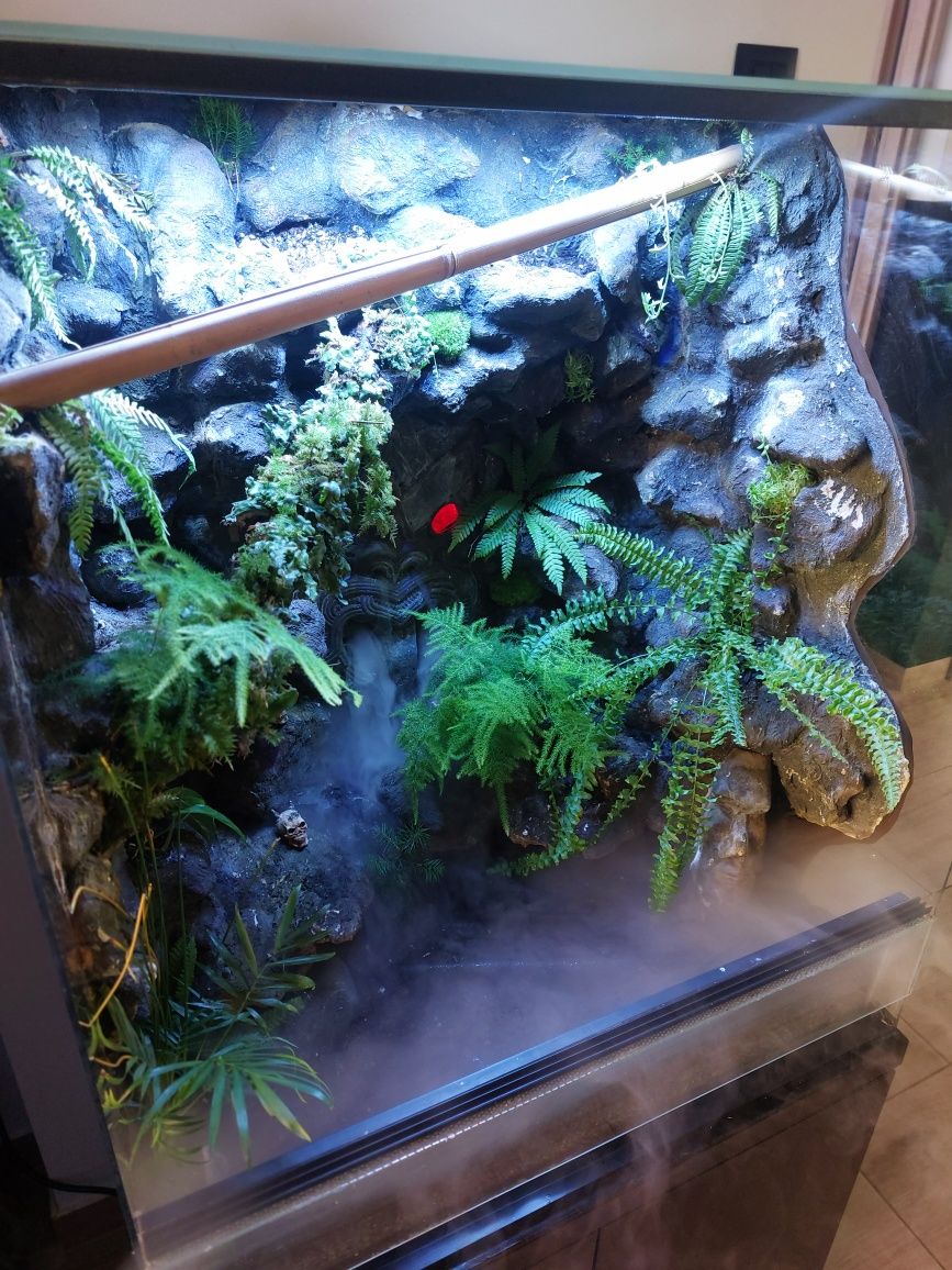 Paludarium Terrarium +szafka