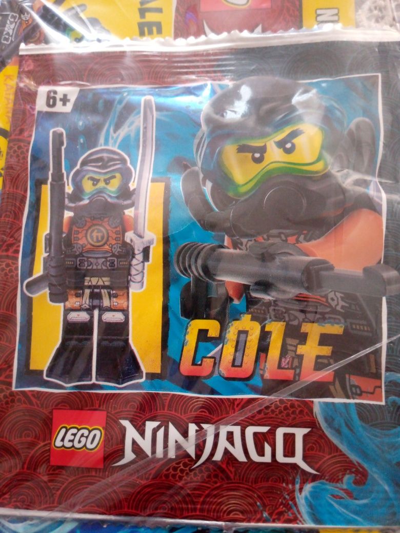 LEGO Ninjago - Cole i Lloyd