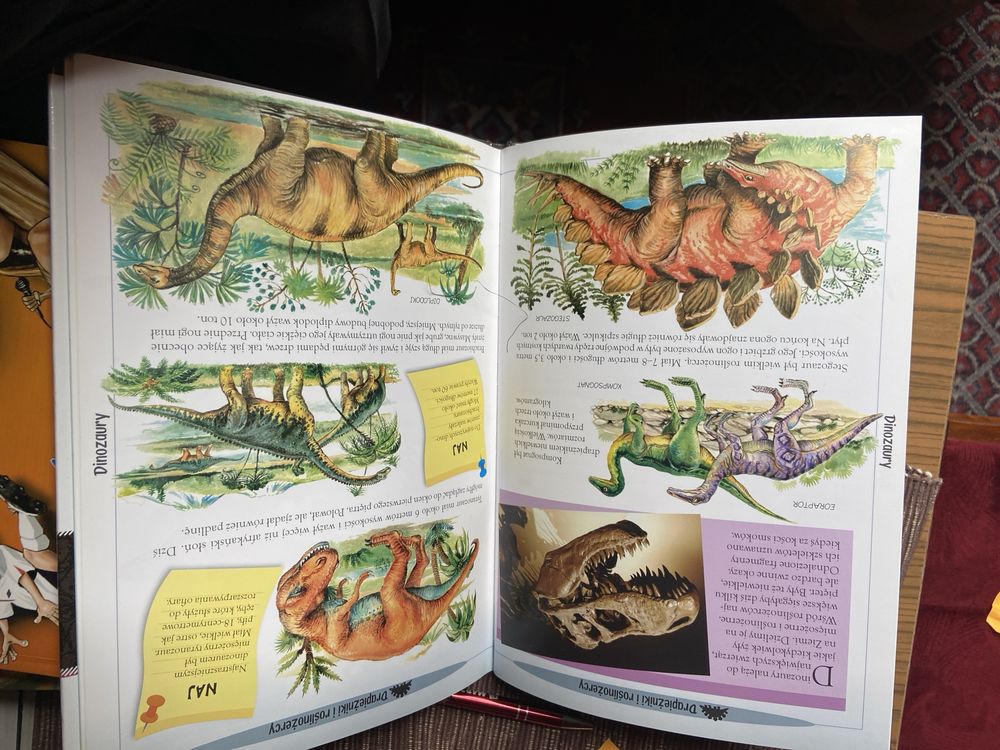 Dinozaury, Gady, Płazy ( w królestwie zwierząt )  ((Aksjomat))