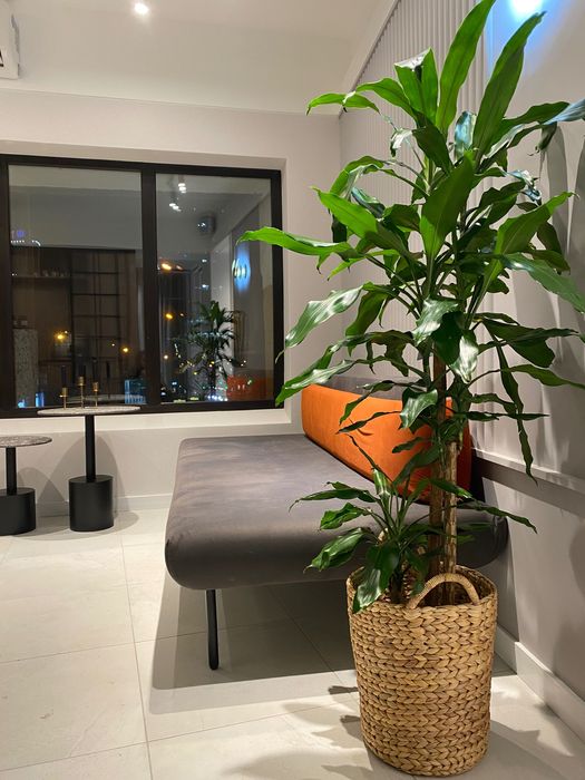 Перукарське крісло в vip залі  в центрі міста. Світло є!!