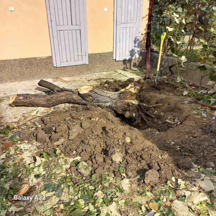 Вирізка дерев та чистка території від чагарнику!