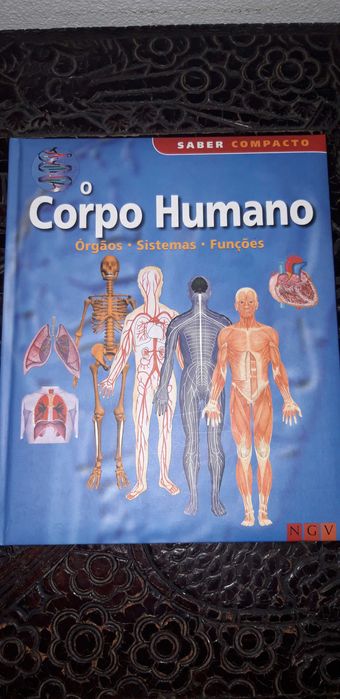 O corpo humano (Órgãos*Sistemas*Funções)