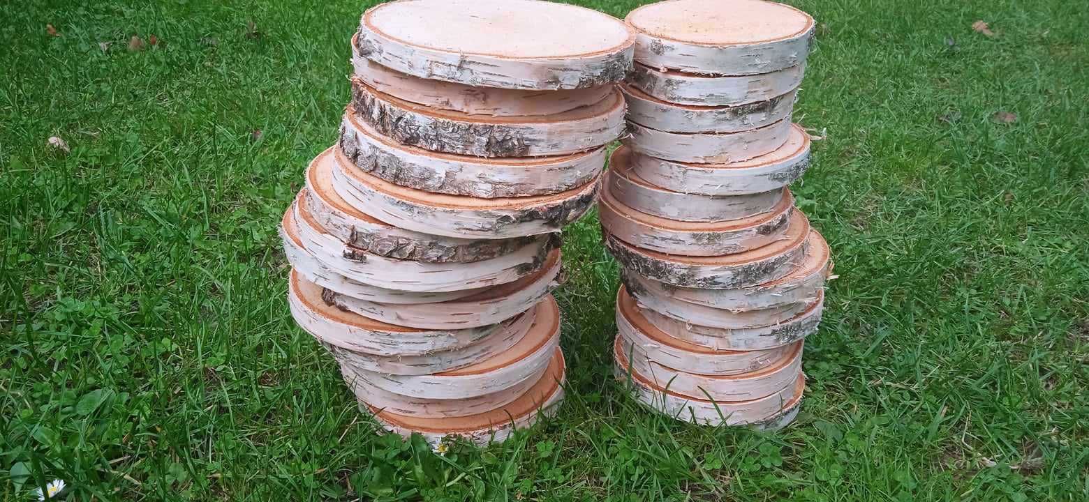 Plastry drewna, 50 sztuk, 8-15 cm, krążki drewniane, brzozowe