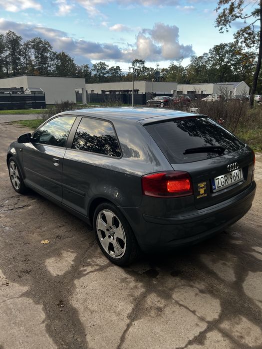 Audi a3 8p 1.9tdi 105PS