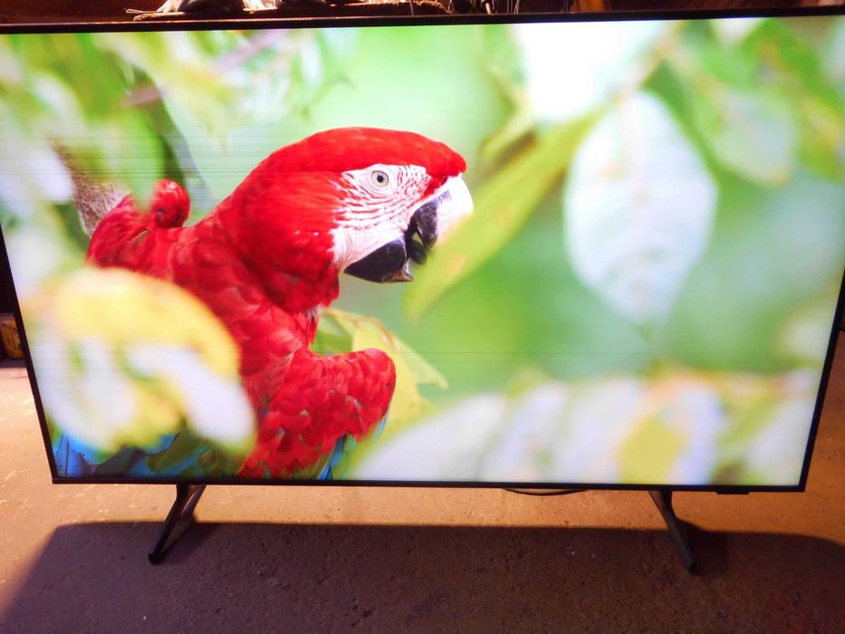 TV Qled Samsung 50 UHD