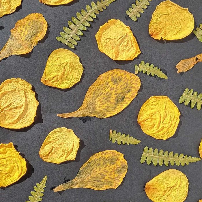 Moldura Coleção Black Vintage Jardim