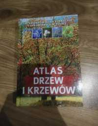 Atlas drzew i krzewów