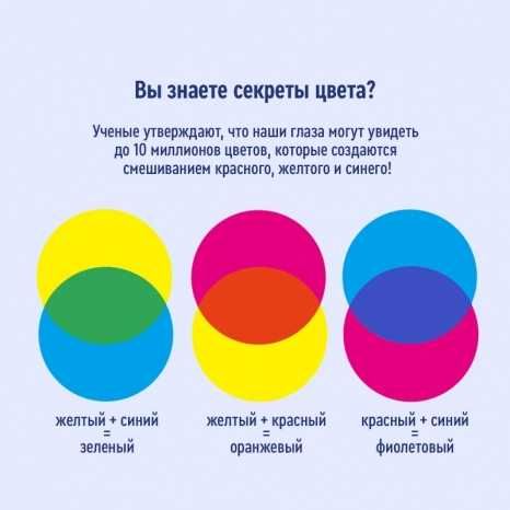 Нарядный Гардероб Набор Для Изучения Цветов