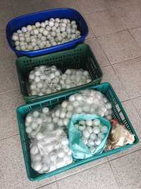 600 Bolas de Golfe (Callaway, Titleist, Taylormade, Srixon, etc.)