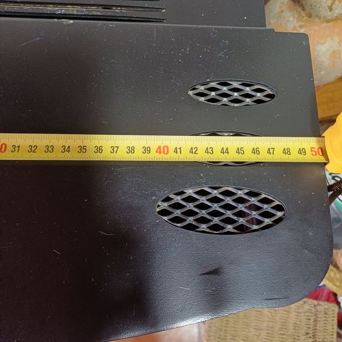 Salamndra em bom estado