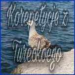 Korepetycje - Turecki online