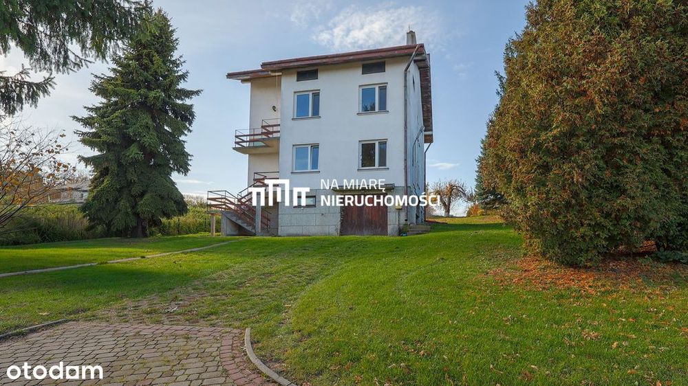 Dobra Lokalizacja | Media | Potencjał inwestycyjny