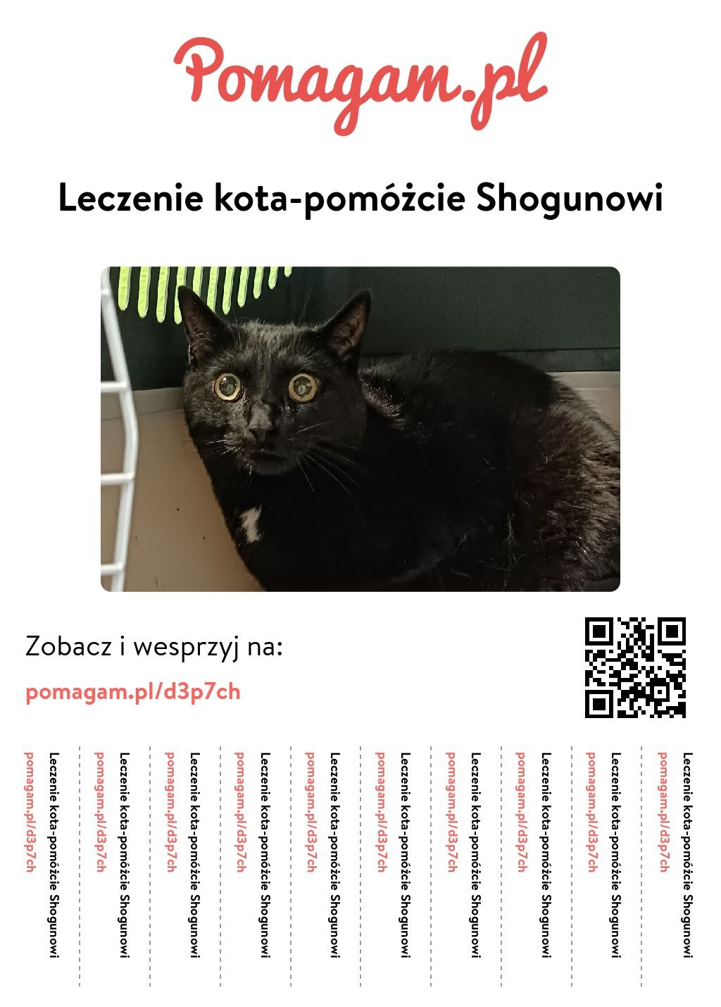 Pomóż Shogunowi wrócić do zdrowia