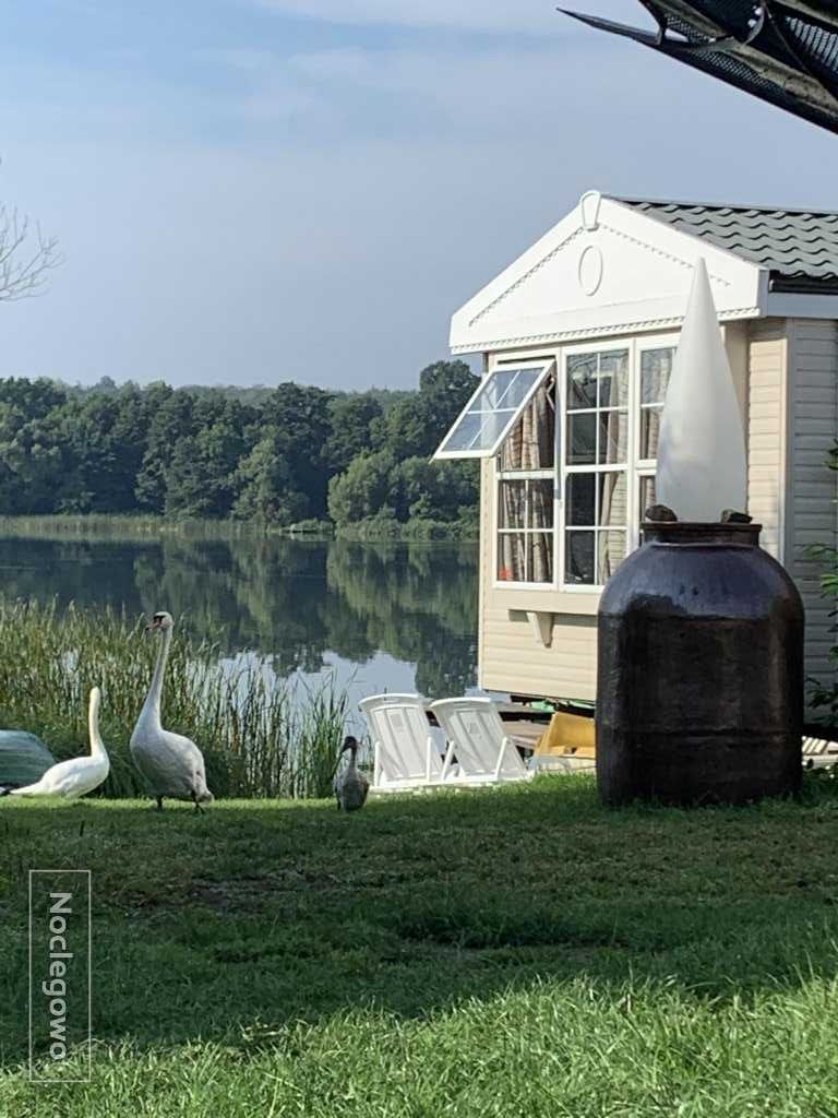 Wypoczynek nad jeziorem na półwyspie w Dolinie Smoków