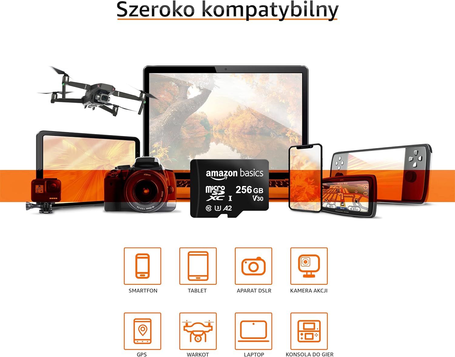 Karta microSD Amazonbasics LSMICRO256GU3 256 GB