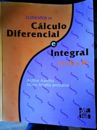 elementos de calculo diferencial e integral em R e RN