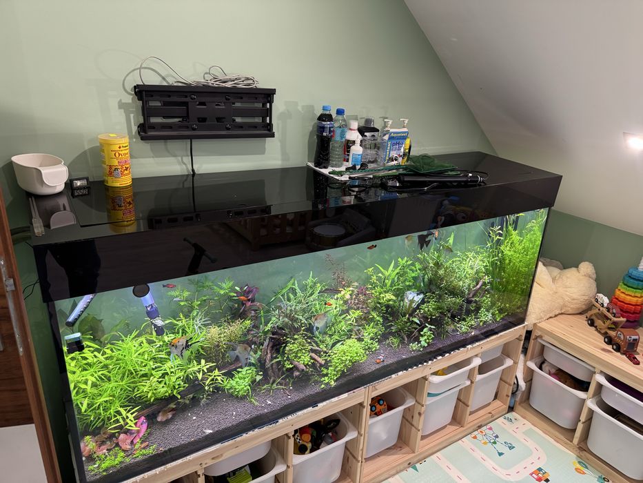 Akwarium 184x60x43 front opti