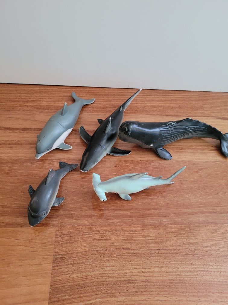 Conjunto de Animais marinhos