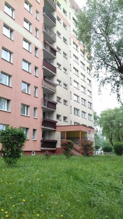 Wynajmę kawalerkę ul. Podchorążych.