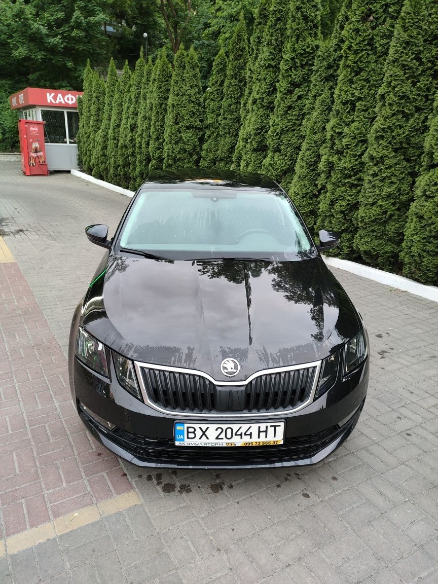 Skoda Octavia A7, 2019, автомат, офіційна