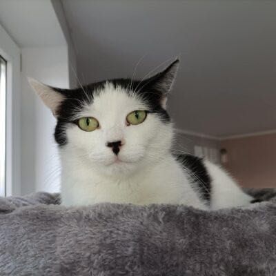 Daisy szuka kochających ludzi