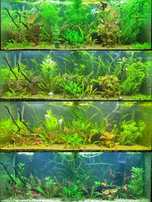 Kit de Fertilização para Aquário 6x500ml