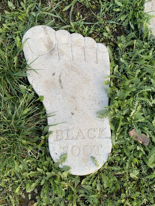 Тротуарна плитка «сліди велетня»