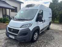 Fiat Ducato 3.0 Thermo King V300 MAX 2015