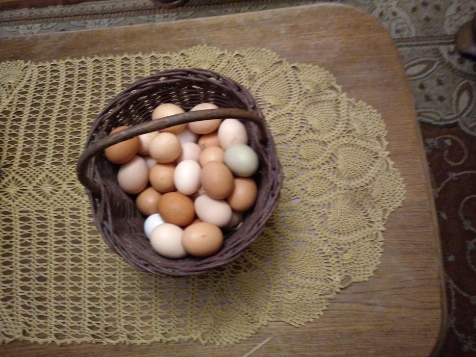 Sprzedam wiejskie jajka