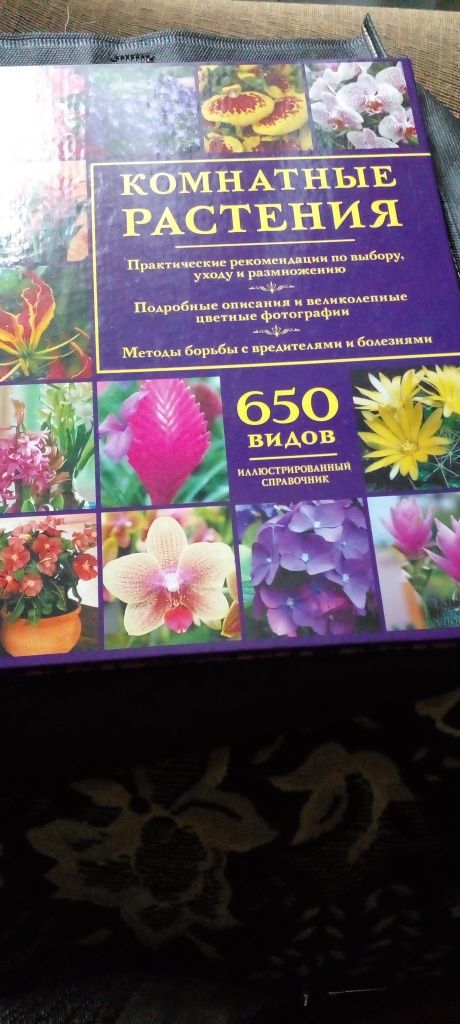 Продам книгу комнатные растения