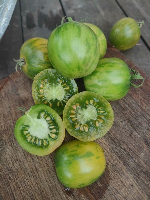 Набір колекційного насіння томатів " Калейдоскоп"