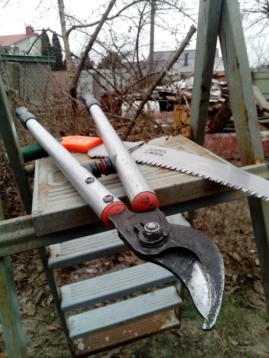 Послуги по обрізці плодових та декоративних рослин