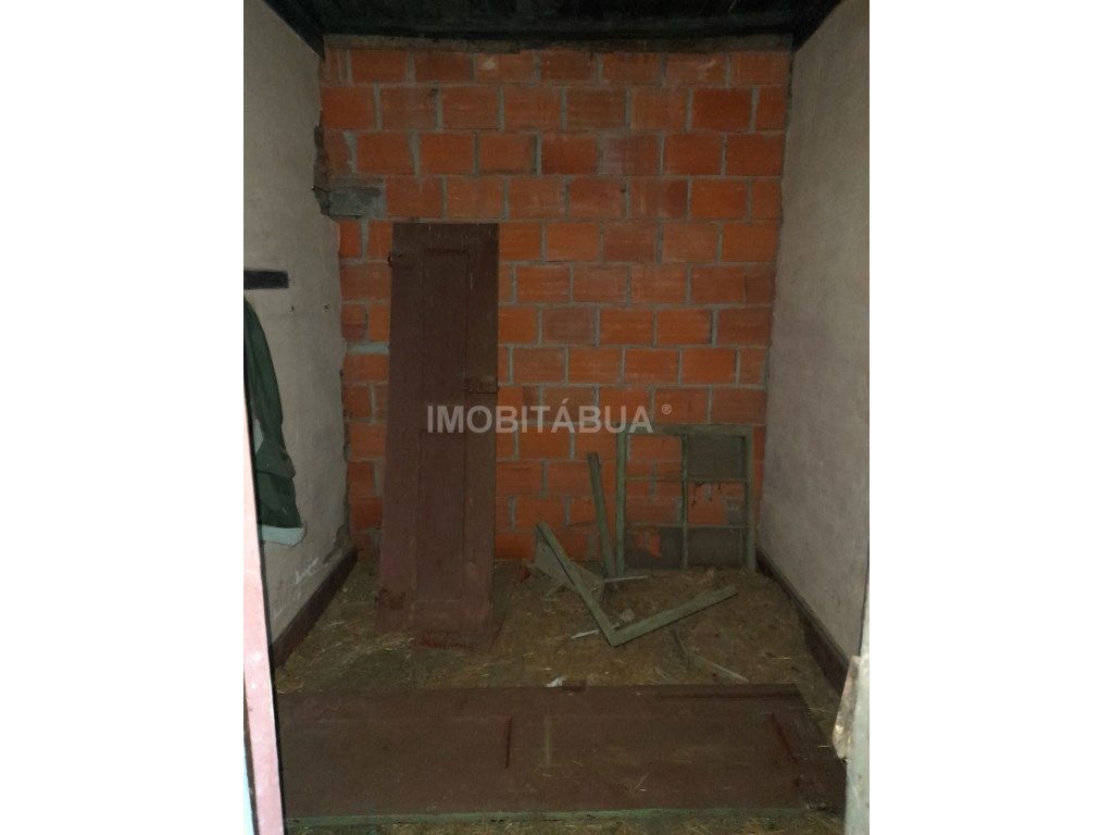 Quinta de Mirtilos com mais de 3 Hectares, localizada perto de Tondela