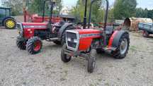 Ciągnik sadowniczy Massey Ferguson 374